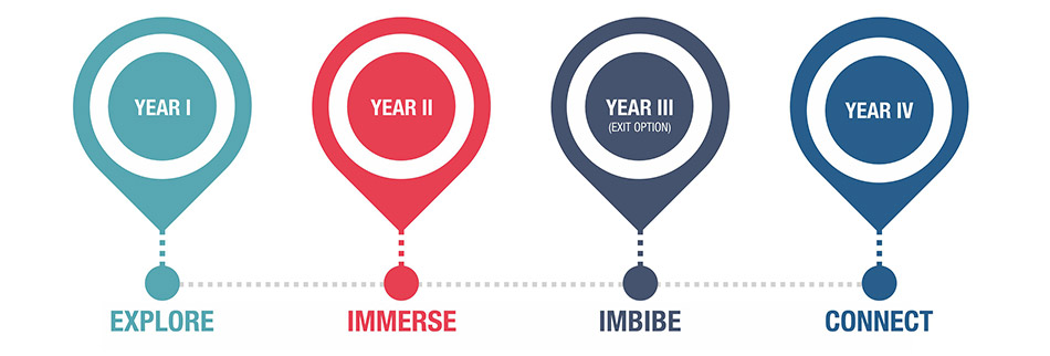 Undergraduate Program Structure