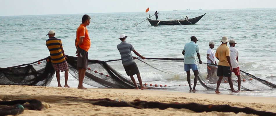 Turtle Fisher Interactions at Sagareshwar Beach Vengurla