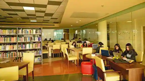 Article Intro Image