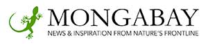 Mongabay