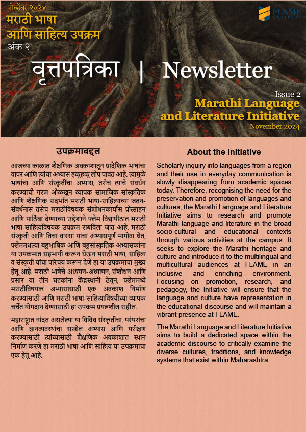 MLLI - November 2024